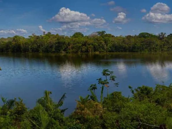 MACAW CLICK AND LAKE SANDOVAL 4D/3N gallery