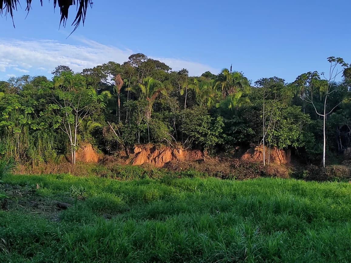 MACAW CLICK AND LAKE SANDOVAL 4D/3N gallery