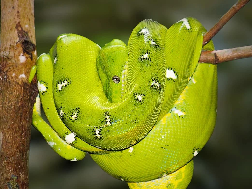 MANU TOUR BIOSPHERA 4D/3N gallery