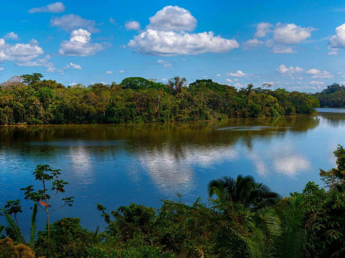 TAMBOPATA 2D/1N gallery