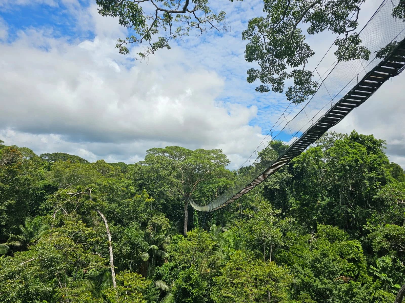 TAMBOPATA 4D/3N gallery