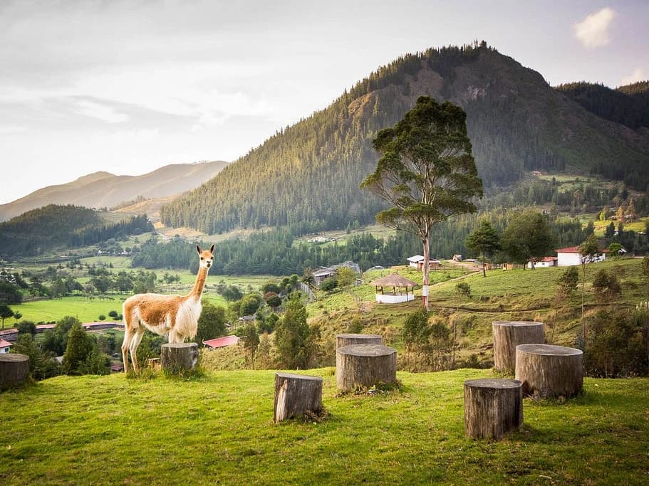 GRANJA PORCÓN & VENTANILLAS DE OTUZCO — imagen temporal