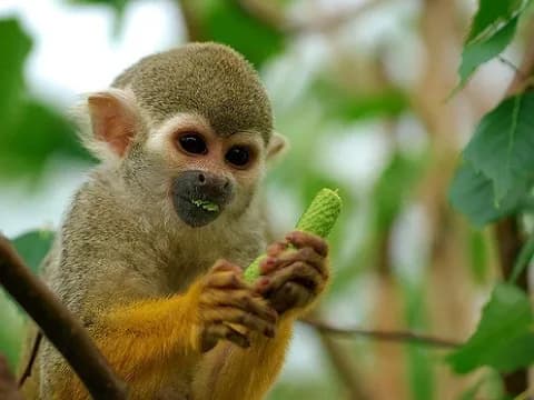 TOUR TAMBOPATA 2D/1N