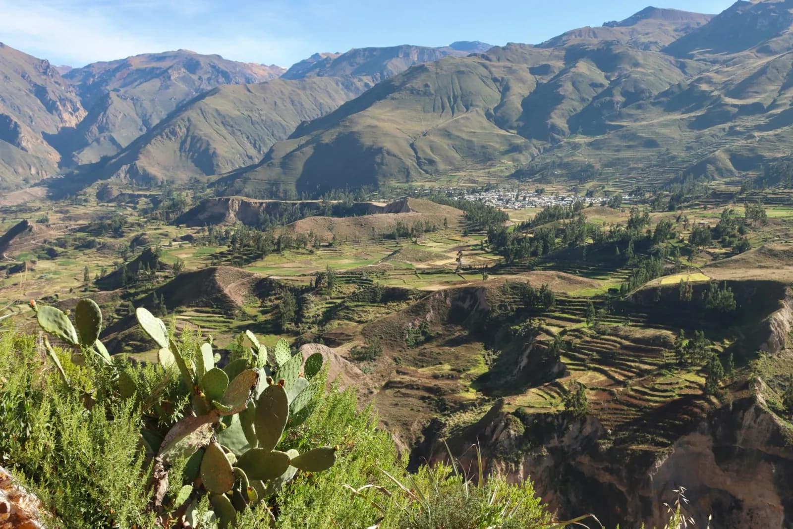 Tour Cañón del Colca 2D/1N desde Arequipa