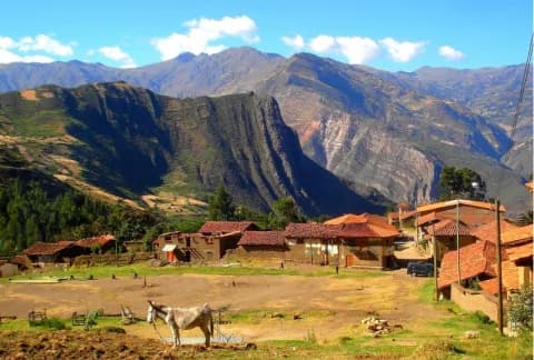ancash 4d plays 1