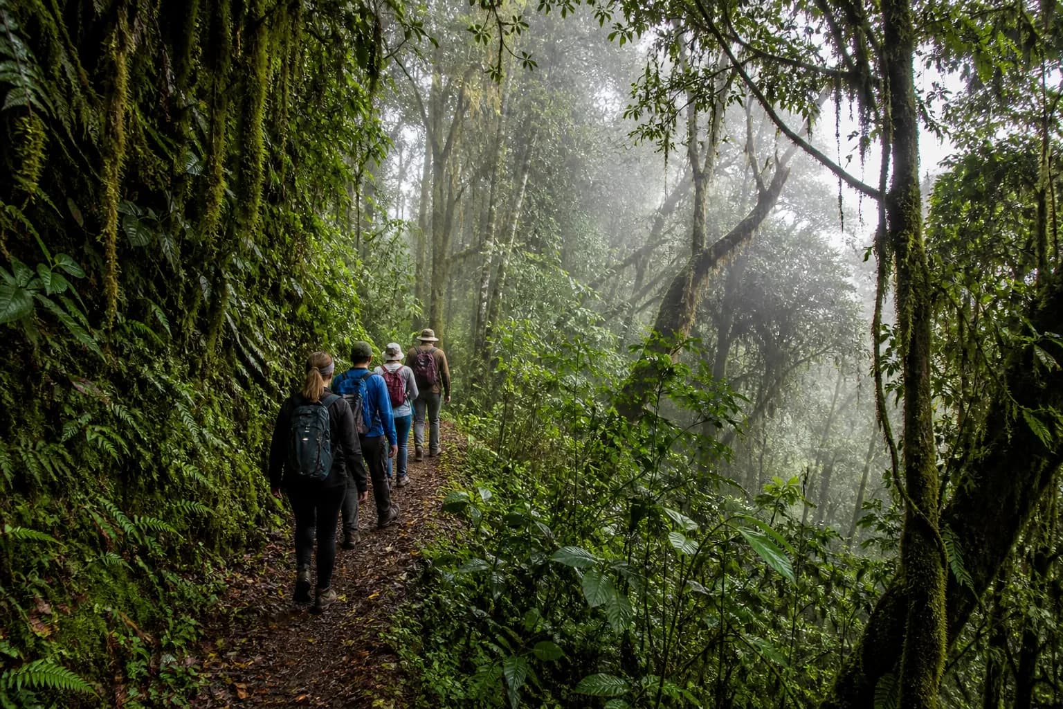 Travelers hiking through Manu cloud forest with a local guide