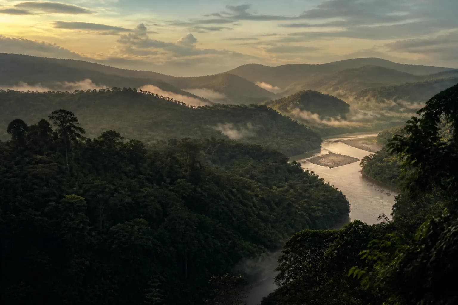 Manu National Park rainforest and river at dawn