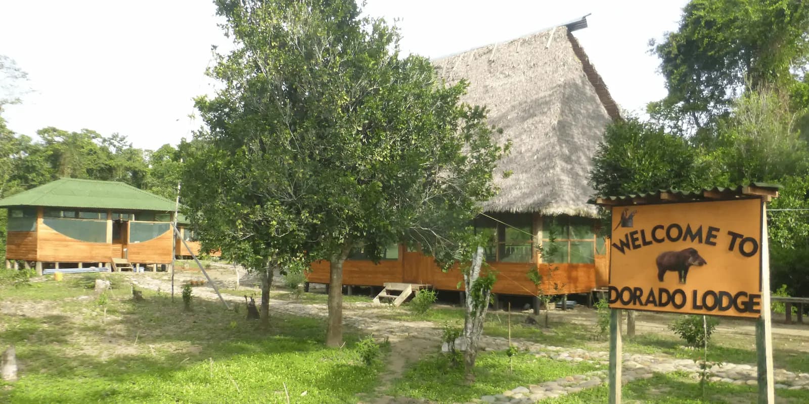 MANU PARK TOUR DORADO RAIN FOREST LODGE 5 DAYS