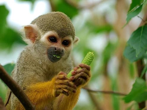TOUR TAMBOPATA 2D/1N gallery