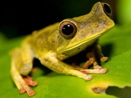 TOUR TAMBOPATA 2D/1N gallery