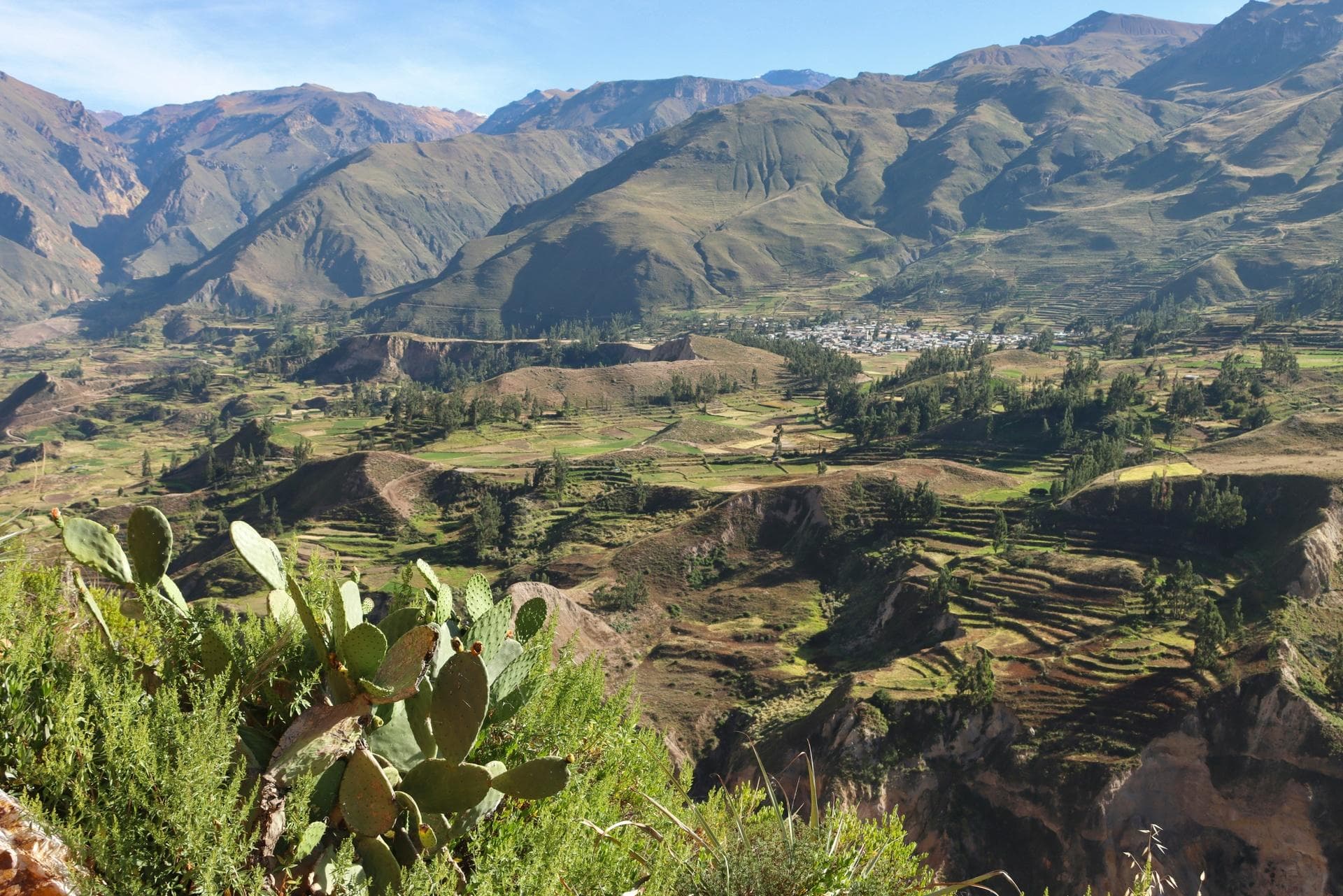 Colca Canyon 2D