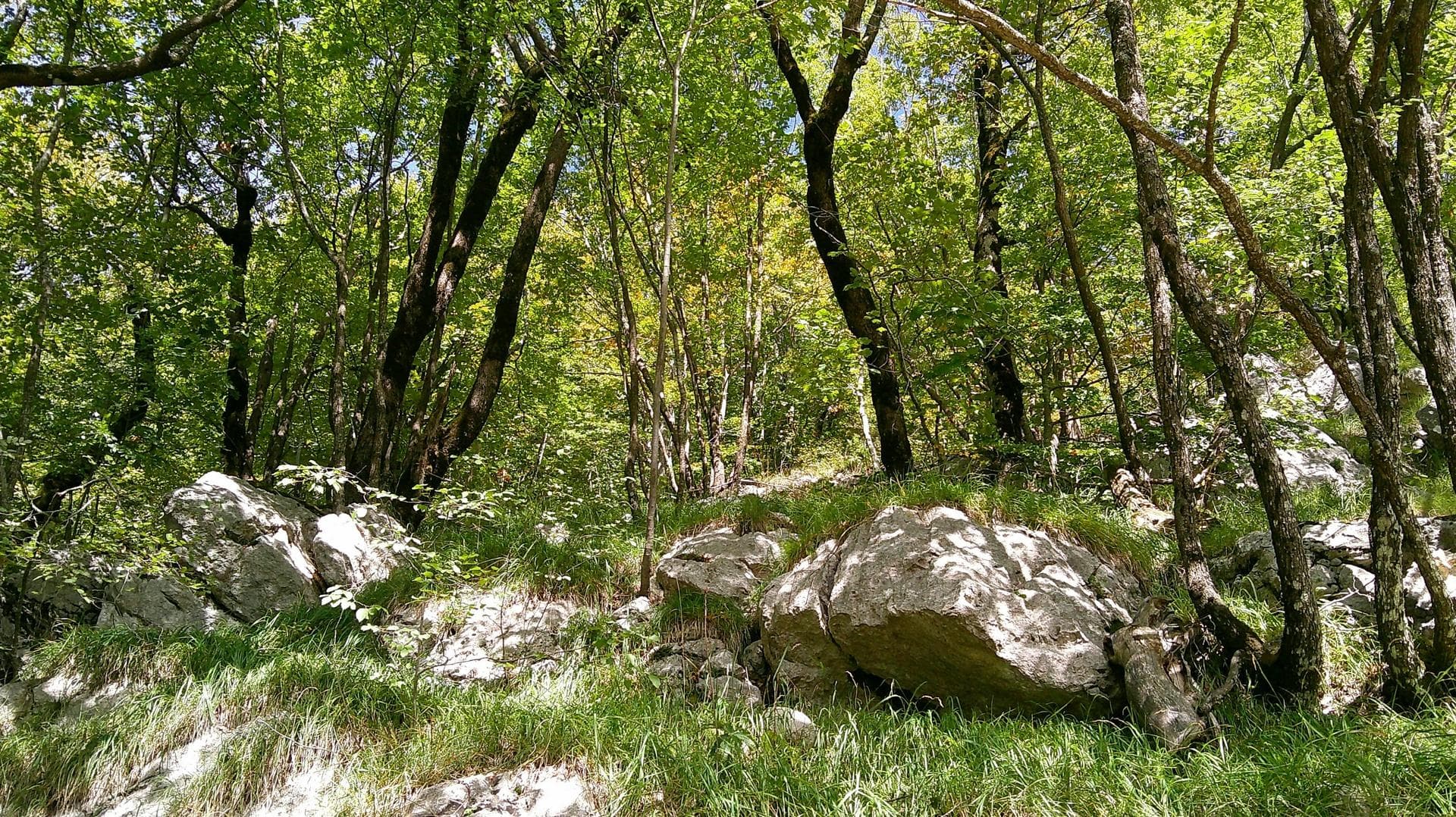 Piñones Waterfall & Puruña Stone Forest